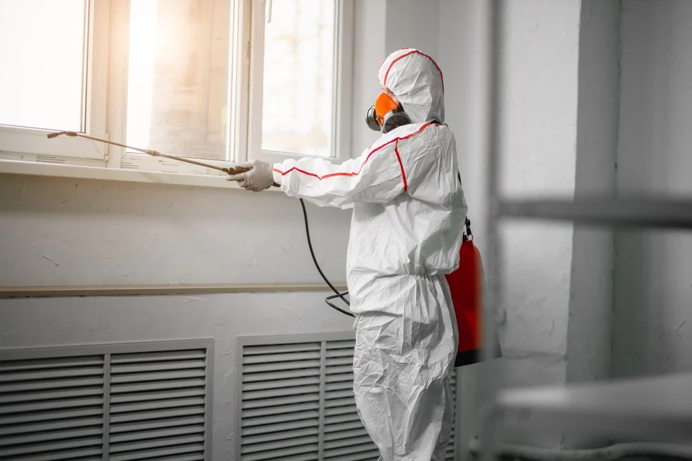 Professional mold remediation services in Gaston, IN